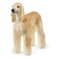 Afghan Hound