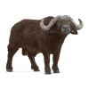African Buffalo