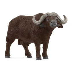 African Buffalo