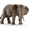 African Elephant, Female