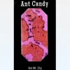 Ant Candy with Real Black Ants