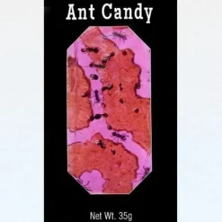 Ant Candy with Real Black Ants