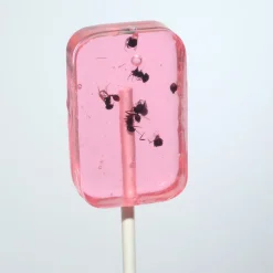 ANT-LIX Suckers Assorted Flavors