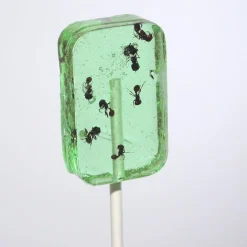 ANT-LIX Suckers Assorted Flavors