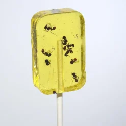 ANT-LIX Suckers Assorted Flavors