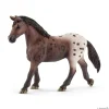 Appaloosa Mare