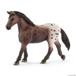 Appaloosa Mare
