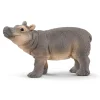 Baby Hippopotamus