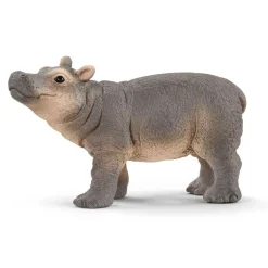 Baby Hippopotamus
