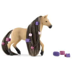 Beauty Horse Andalusian Mare