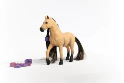 Beauty Horse Andalusian Mare