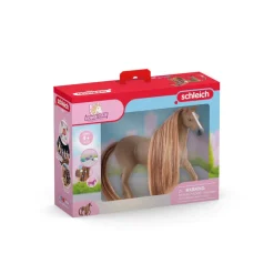 Beauty Horse English Thoroughbred Mare