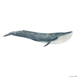 Blue Whale