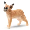 Caracal Cub