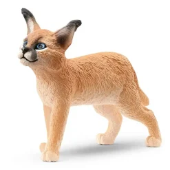 Caracal Cub