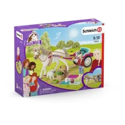 Carriage Ride With Picnic