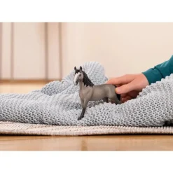 Cheval de Selle Francais Mare