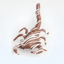 Chocolate Covered Dessert Scorpion