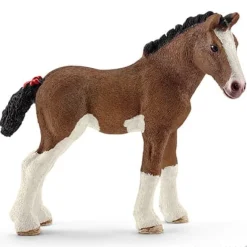 Clydesdale Foal