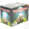6.5" Dinosaur Skull Excavation Dig Kit Triceratops