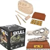 6.5" Dinosaur Skull Excavation Dig Kit Velociraptor