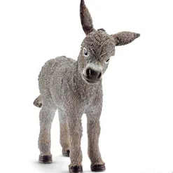 Donkey Foal