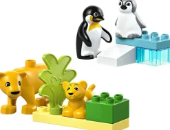 DUPLO - Wild Animals Families Penguins & Lions