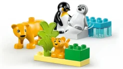 DUPLO - Wild Animals Families Penguins & Lions