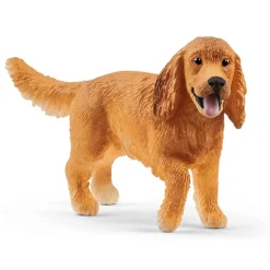 English Cocker Spaniel