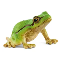 European Tree Frog