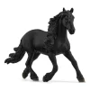 Friesian Stallion