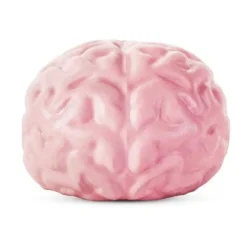 Giant Brain Ball