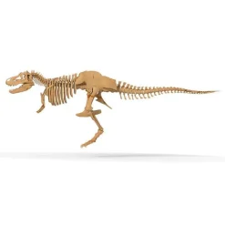 Giant Dinosaur Skeleton Kit