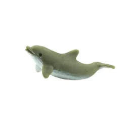 Good Luck Minis Dolphins