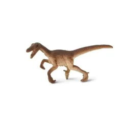 Good Luck Minis Raptors