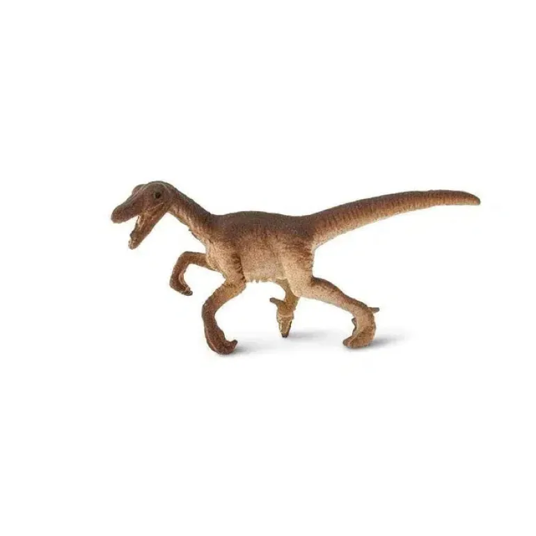 Good Luck Minis Raptors