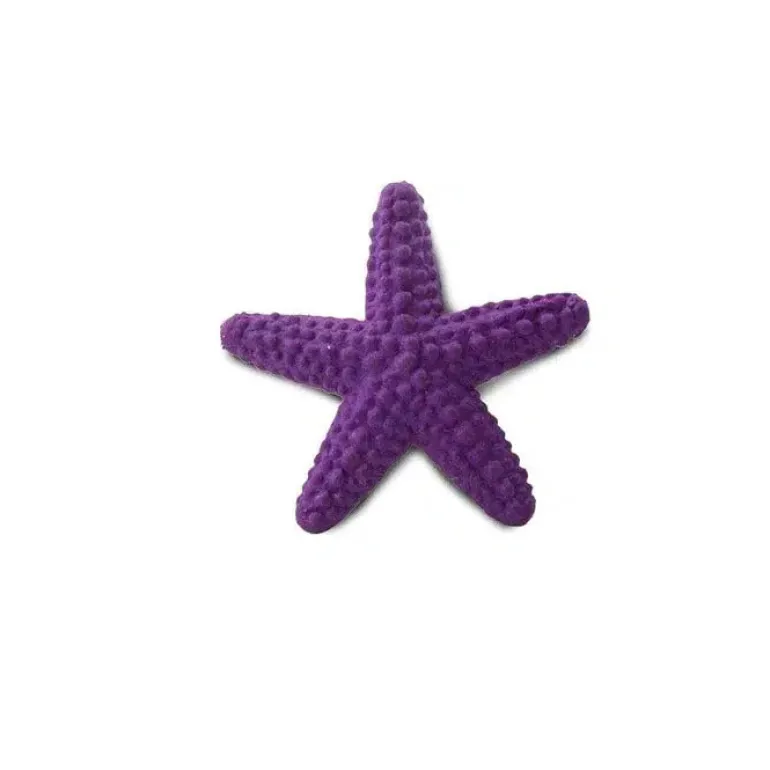 Good Luck Minis Starfish
