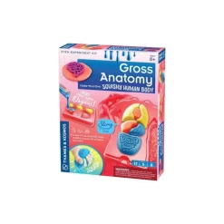 Gross Anatomy: Make-Your-Own Squishy Human Body