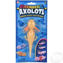 6" Growing Axolotl