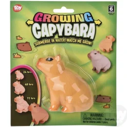 3" Growing Capybara