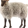Hansa Sheep Gentle Ewe Ride-on 42''L