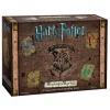 Harry Potter Hogwarts Battle: A Cooperative Deck-Building Game