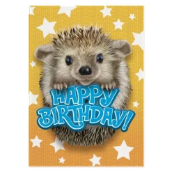 Hedgehog Foil Birthday Card