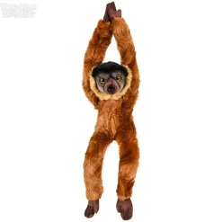 18" Heirloom Hanging Collared Lemur