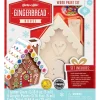 Holiday Wood Paint Kit - Gingerbread House