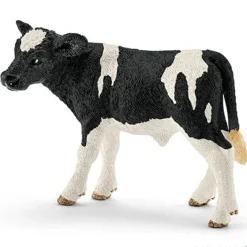 Holstein Calf