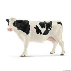 Holstein Cow