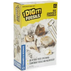 I Dig It! Fossils - Real Fossils Excavation Kit