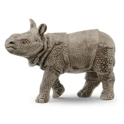 Indian Rhinoceros Baby