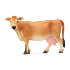 Jersey Cow